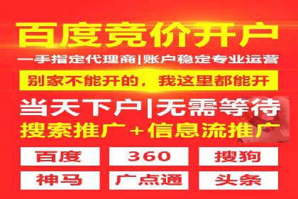 谷歌竞价广告的创意设计及某品牌成功经验